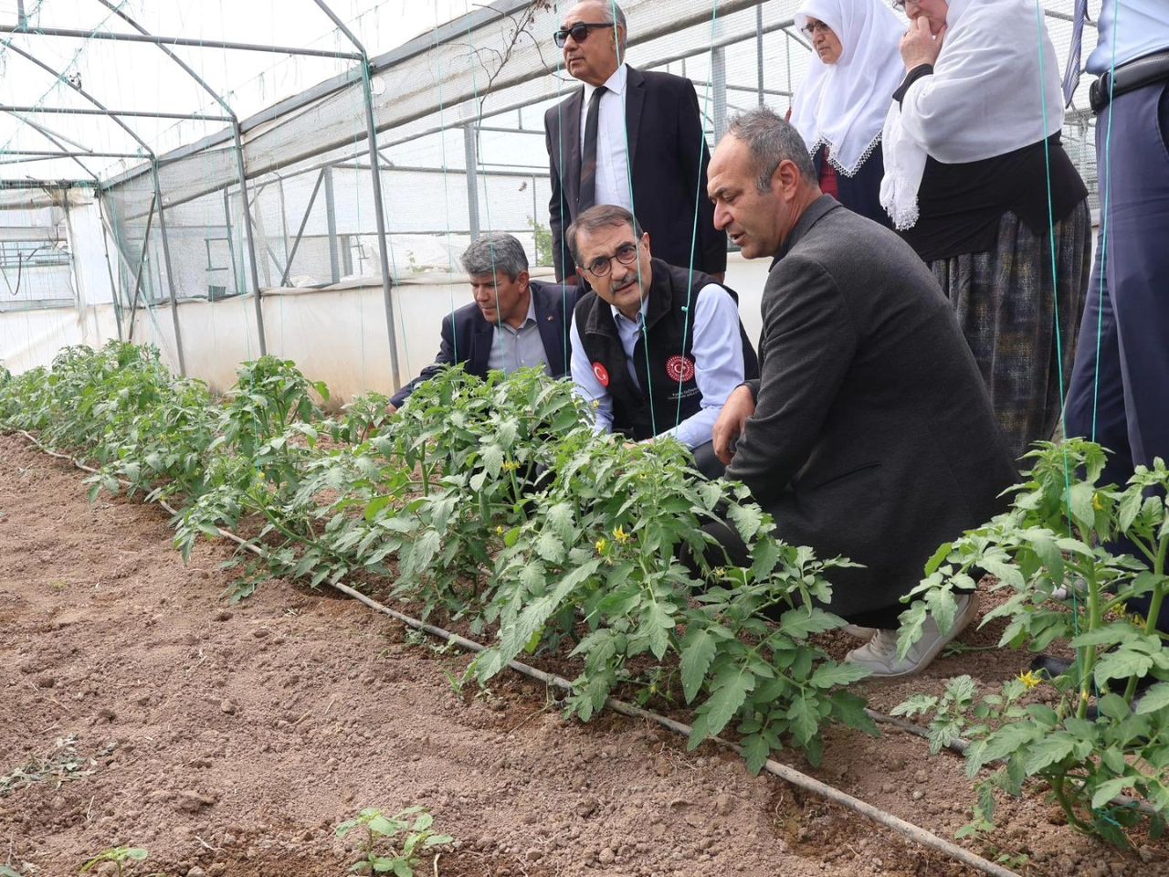 Milletvekili Fatih Dönmez Tarım Seralarını Ziyaret Etti