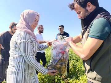 Afyonkarahisar'da Hasat Öncesi Pestisit Denetimi